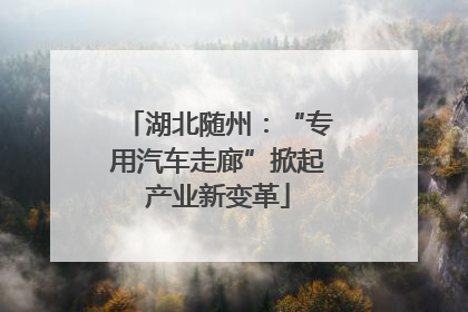 湖北随州：“专用汽车走廊”掀起产业新变革