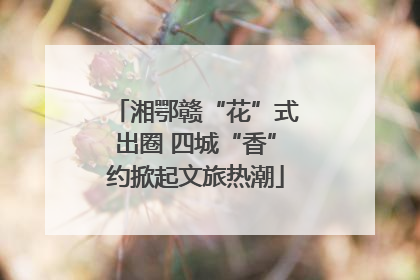 湘鄂赣“花”式出圈 四城“香”约掀起文旅热潮