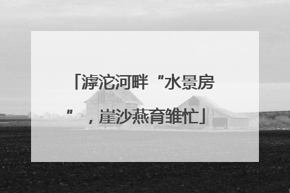 滹沱河畔“水景房”，崖沙燕育雏忙