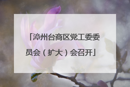 漳州台商区党工委委员会（扩大）会召开
