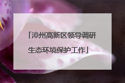 漳州高新区领导调研生态环境保护工作