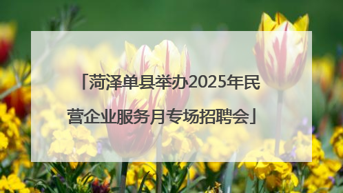 菏泽单县举办2025年民营企业服务月专场招聘会