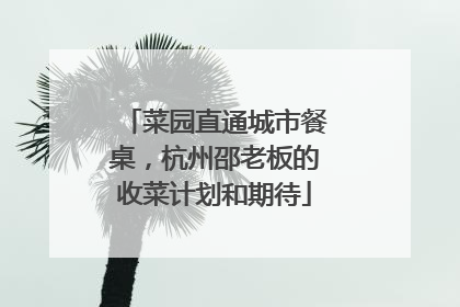 菜园直通城市餐桌，杭州邵老板的收菜计划和期待