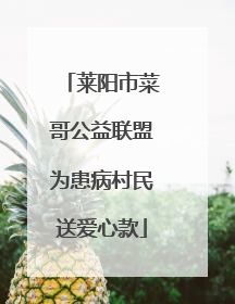 莱阳市菜哥公益联盟为患病村民送爱心款