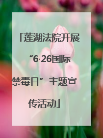 莲湖法院开展“6·26国际禁毒日”主题宣传活动