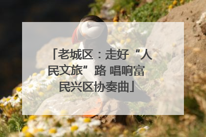老城区：走好“人民文旅”路 唱响富民兴区协奏曲