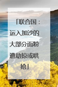 联合国：运入加沙的大部分面粉遭劫掠或哄抢