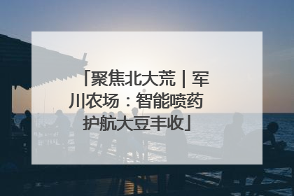 聚焦北大荒｜军川农场：智能喷药护航大豆丰收