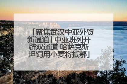 聚焦武汉中亚外贸新通道│中亚班列开辟双通道 哈萨克斯坦饲用小麦将抵鄂