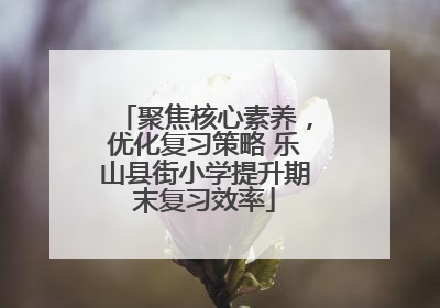 聚焦核心素养，优化复习策略 乐山县街小学提升期末复习效率