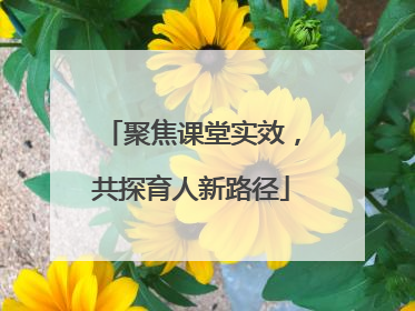 聚焦课堂实效，共探育人新路径