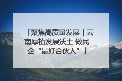 聚焦高质量发展｜云南厚植发展沃土 做民企“最好合伙人”