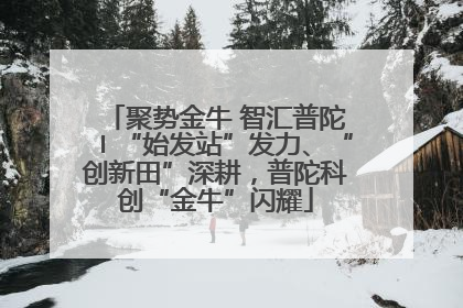 聚势金牛 智汇普陀〡“始发站”发力、“创新田”深耕，普陀科创“金牛”闪耀