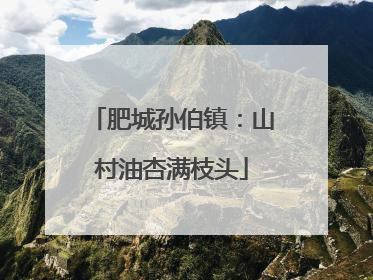 肥城孙伯镇：山村油杏满枝头
