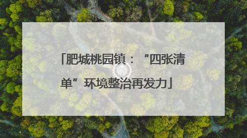 肥城桃园镇：“四张清单”环境整治再发力