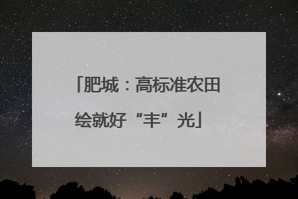 肥城：高标准农田绘就好“丰”光