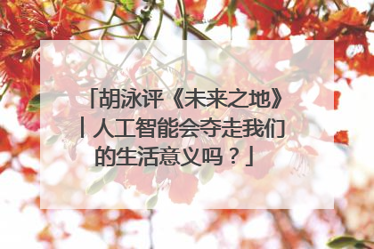 胡泳评《未来之地》︱人工智能会夺走我们的生活意义吗？