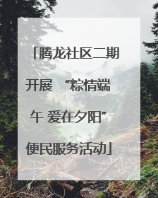 腾龙社区二期开展 “粽情端午 爱在夕阳”便民服务活动