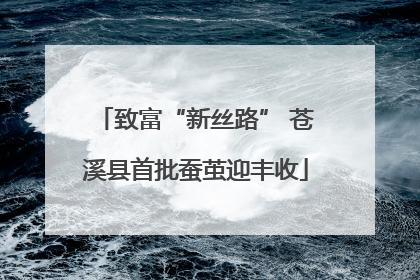 致富“新丝路” 苍溪县首批蚕茧迎丰收
