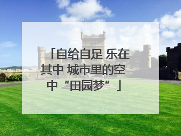 自给自足 乐在其中 城市里的空中“田园梦”