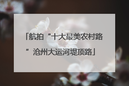航拍“十大最美农村路”沧州大运河堤顶路