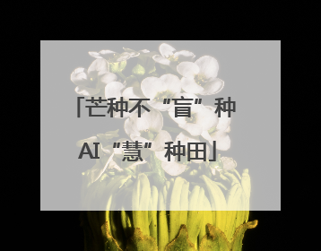 芒种不“盲”种 AI“慧”种田
