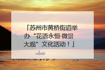 苏州市黄桥街道举办“花语永恒·微景大观”文化活动！