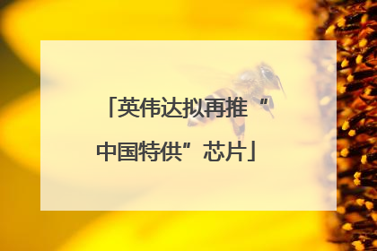 英伟达拟再推“中国特供”芯片