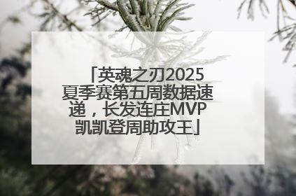 英魂之刃2025夏季赛第五周数据速递，长发连庄MVP凯凯登周助攻王
