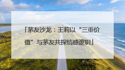 茅友沙龙：王莉以“三重价值”与茅友共探情感逻辑