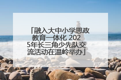 融入大中小学思政教育一体化 2025年长三角少先队交流活动在温岭举办