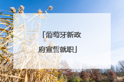 葡萄牙新政府宣誓就职