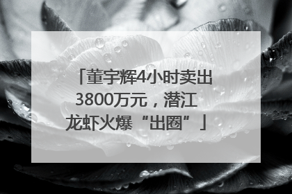 董宇辉4小时卖出3800万元，潜江龙虾火爆“出圈”