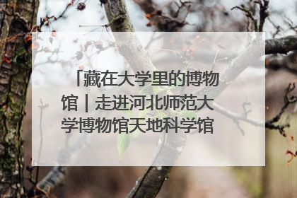 藏在大学里的博物馆｜走进河北师范大学博物馆天地科学馆：在校园里赴一场“宇宙之约”