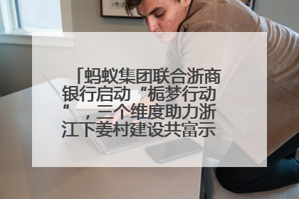蚂蚁集团联合浙商银行启动“栀梦行动”，三个维度助力浙江下姜村建设共富示范区示范点
