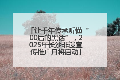 让千年传承听懂“00后的黑话”，2025年长沙非遗宣传推广月将启动