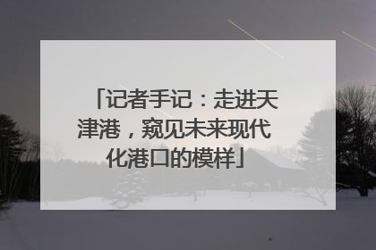 记者手记：走进天津港，窥见未来现代化港口的模样