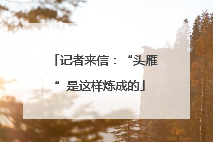 记者来信：“头雁”是这样炼成的