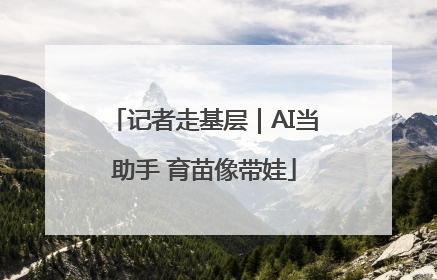 记者走基层｜AI当助手 育苗像带娃