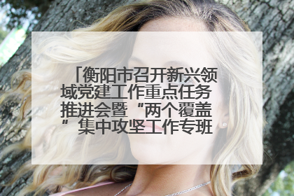衡阳市召开新兴领域党建工作重点任务推进会暨“两个覆盖”集中攻坚工作专班 第一次会议