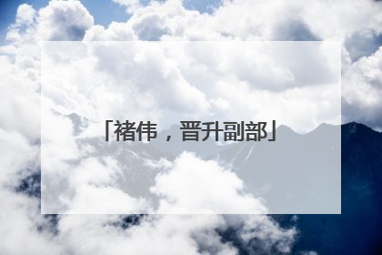 褚伟，晋升副部