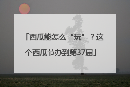 西瓜能怎么“玩”？这个西瓜节办到第37届