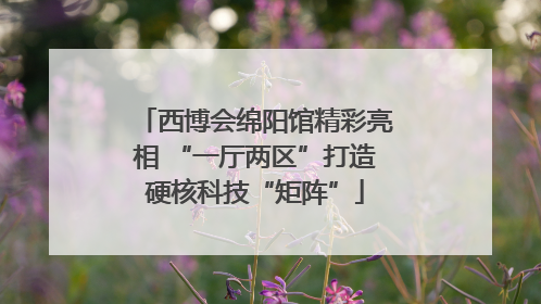 西博会绵阳馆精彩亮相 “一厅两区”打造硬核科技“矩阵”