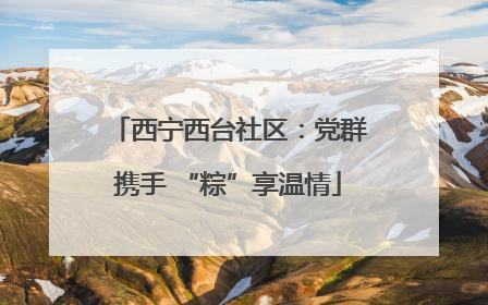 西宁西台社区：党群携手 “粽”享温情