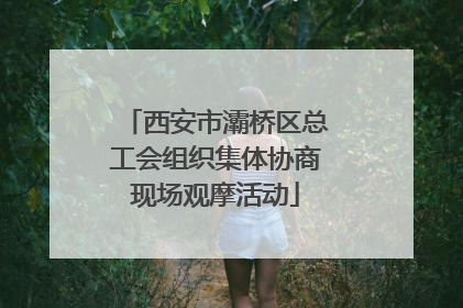 西安市灞桥区总工会组织集体协商现场观摩活动