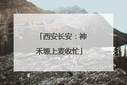 西安长安：神禾塬上麦收忙