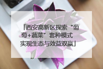 西安高新区探索“葡萄+蔬菜”套种模式 实现生态与效益双赢