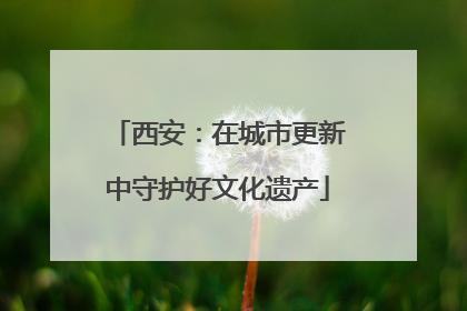 西安：在城市更新中守护好文化遗产