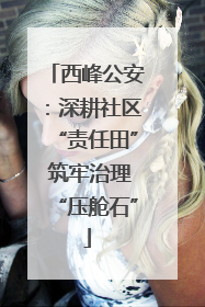 西峰公安：深耕社区“责任田” 筑牢治理“压舱石”