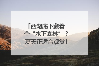 西湖底下藏着一个“水下森林”？夏天正适合观赏